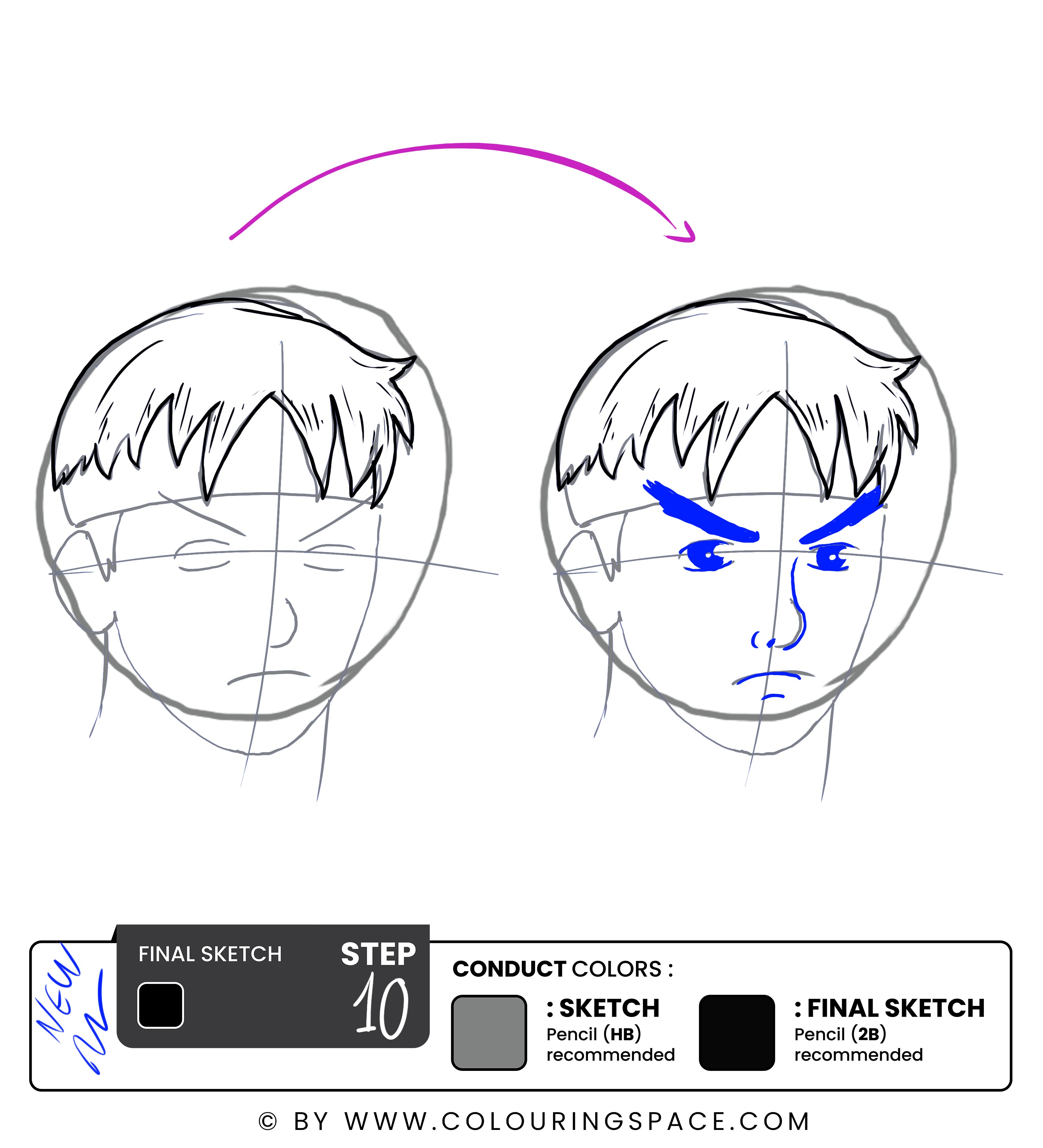 Step 10: Outline the Eyebrows and Facial Features