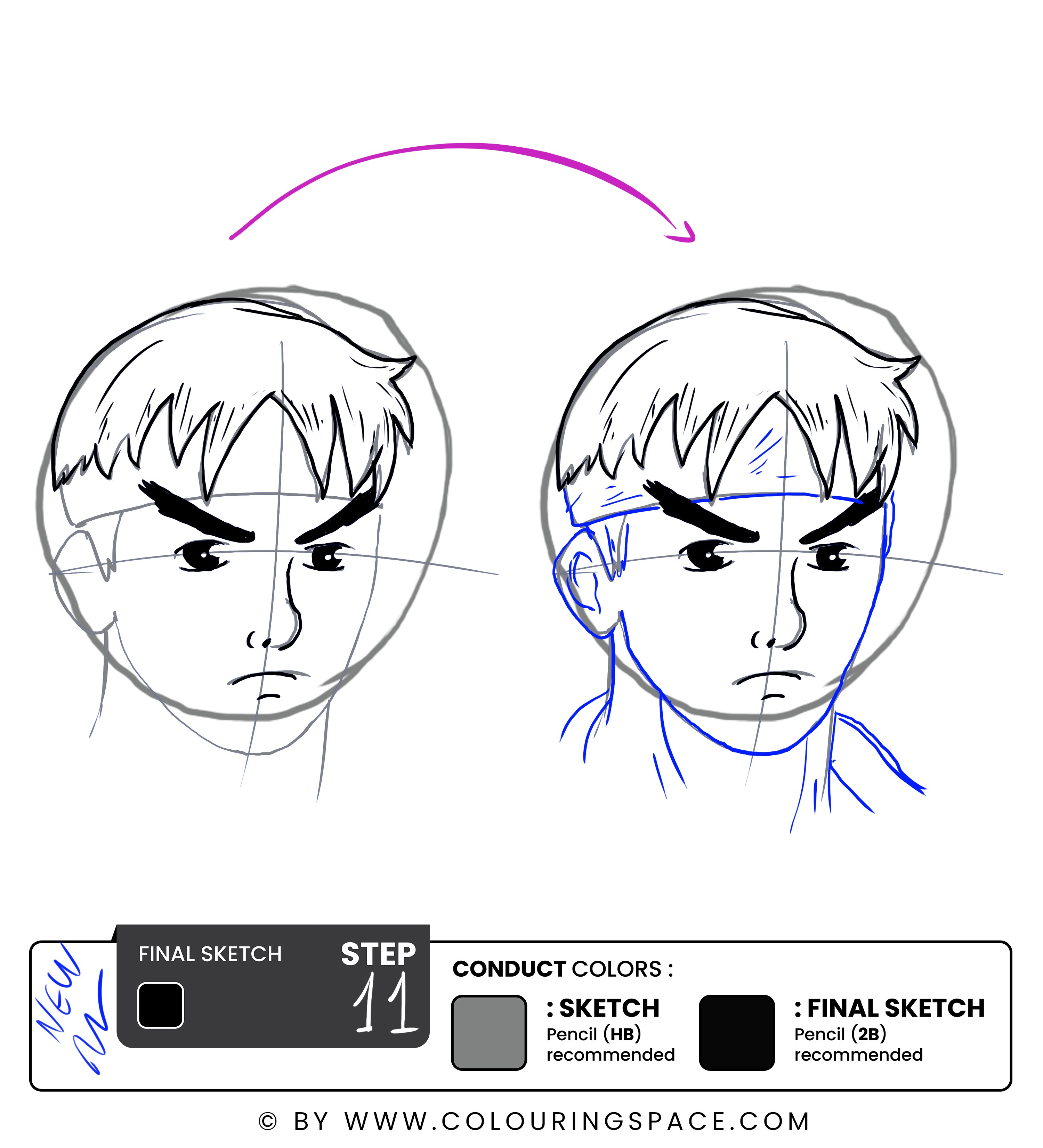 Step 11: Outline the Head Sketch and Neck