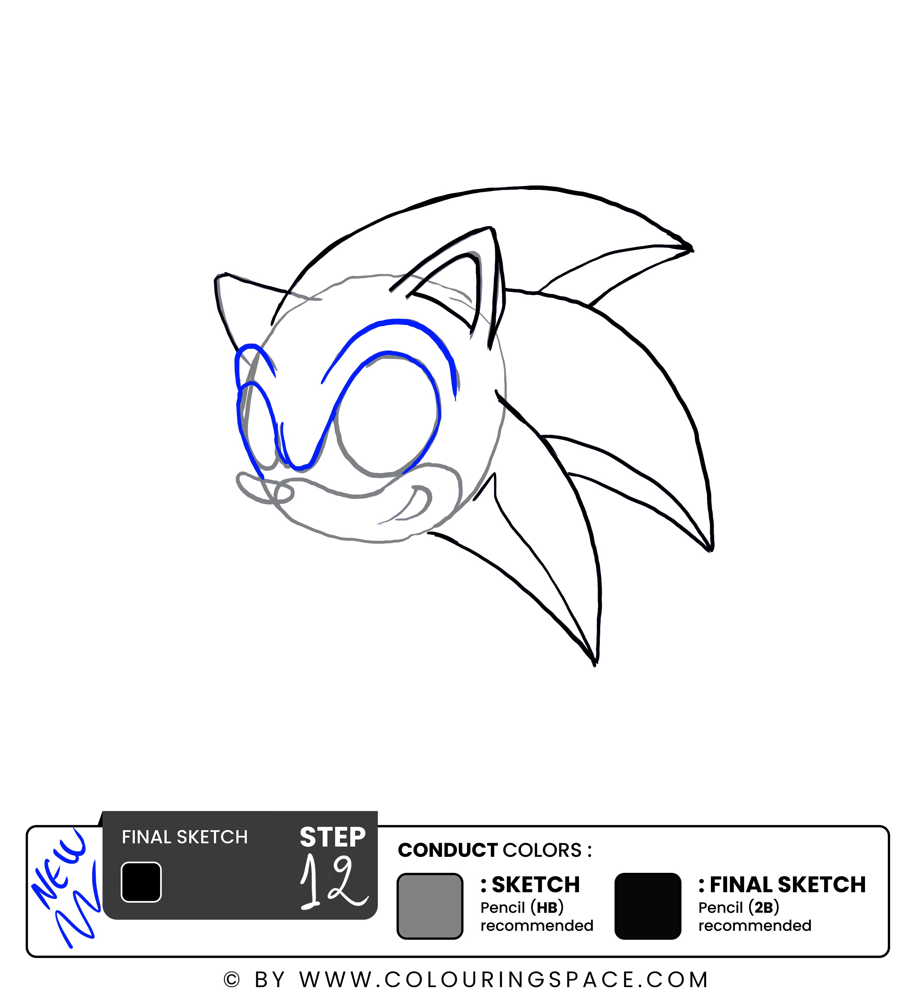 Step 12: Outline the Eylids.