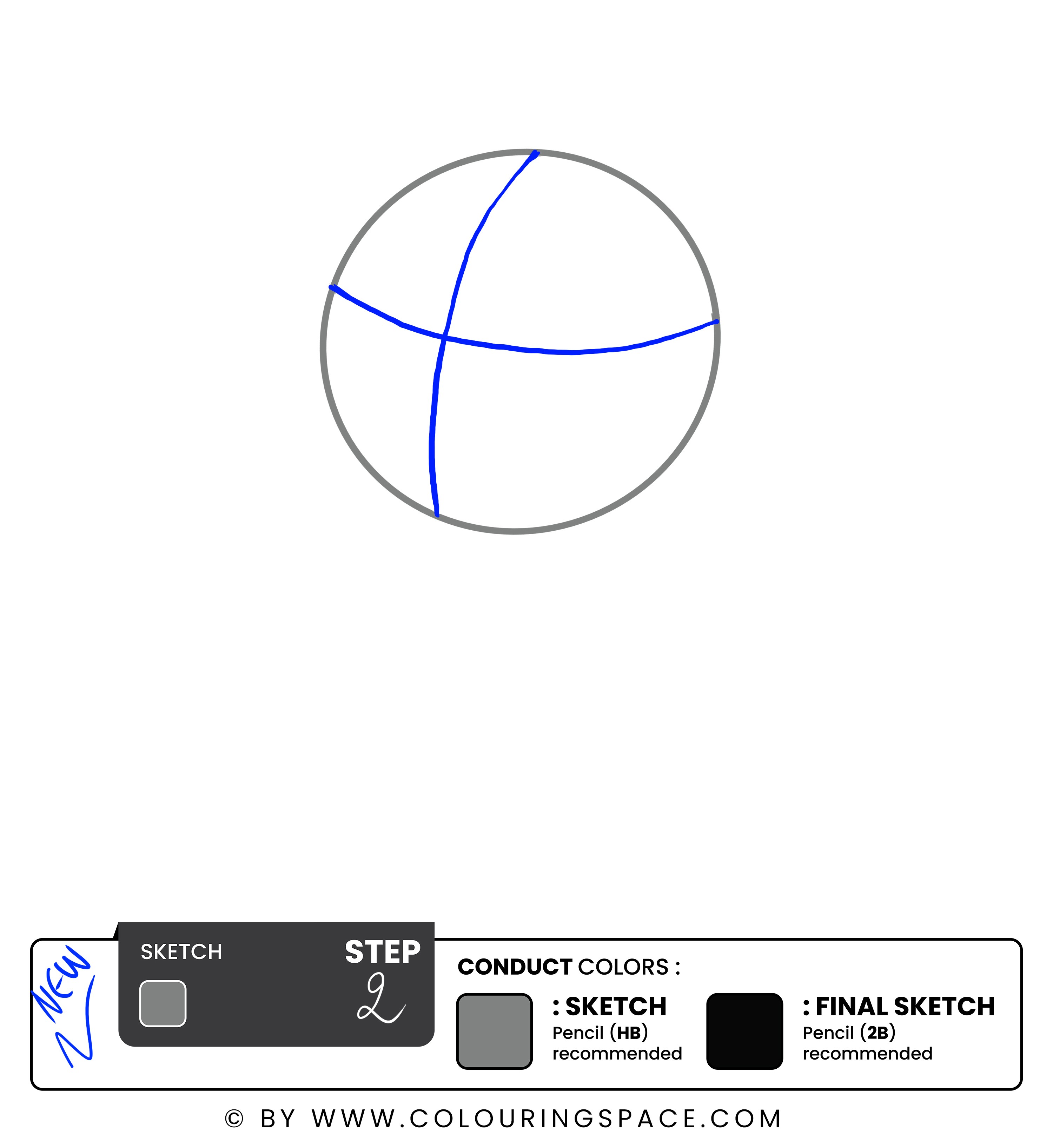 Step 2:  Divide the Head into four sections 