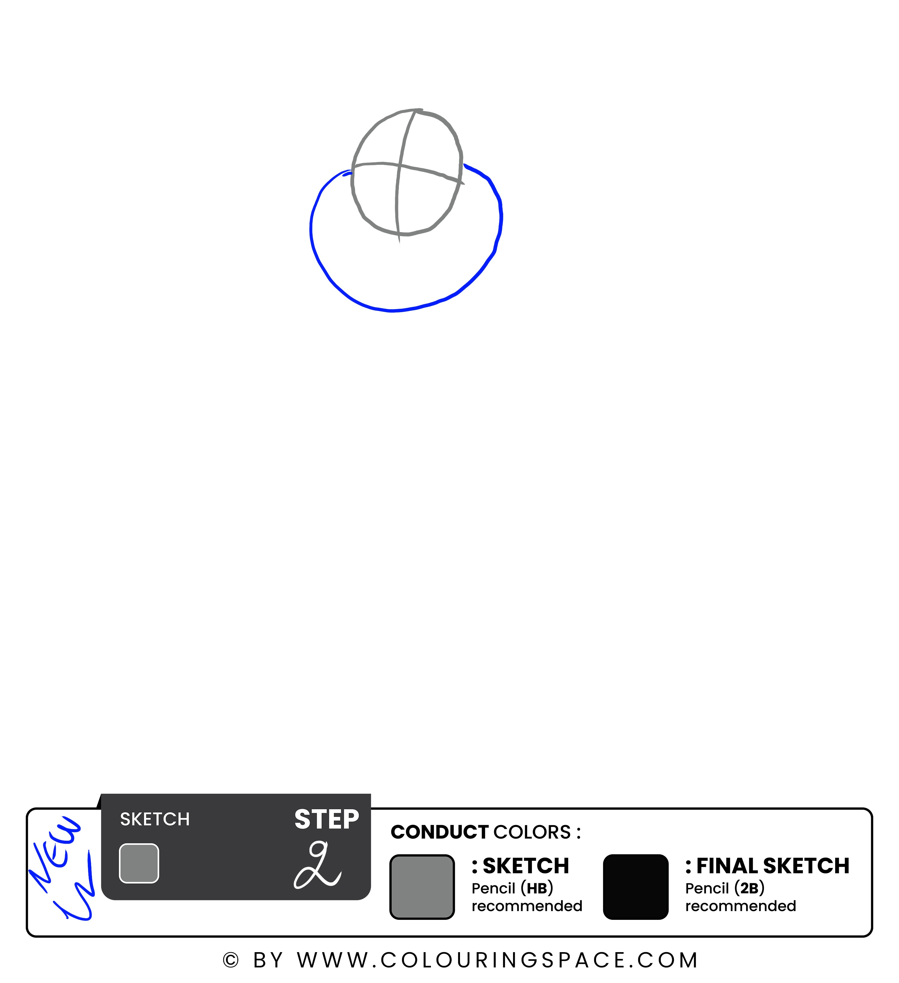 Step 2: Sketch the Beard