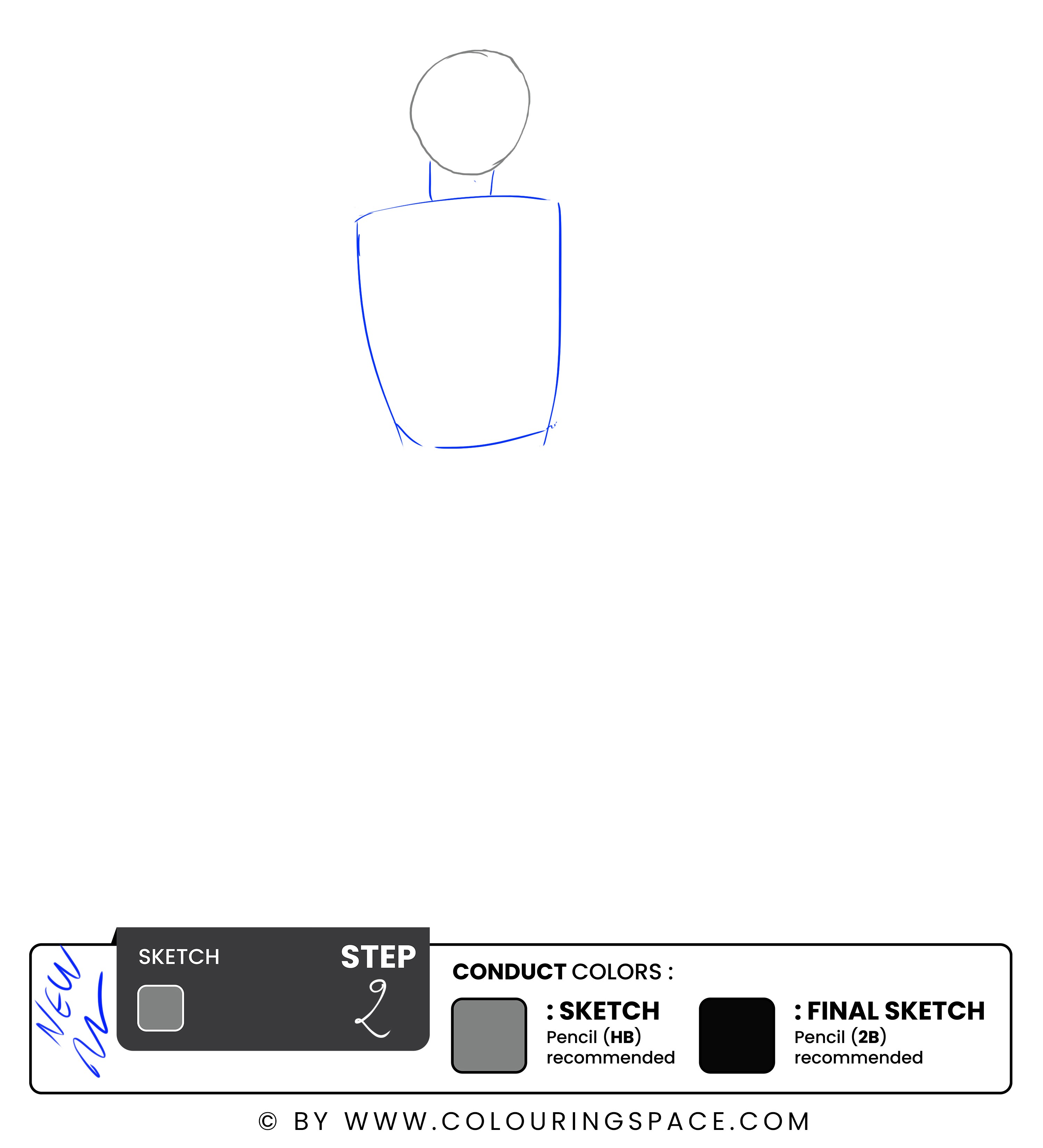 Step 2: Sketch the Torso 