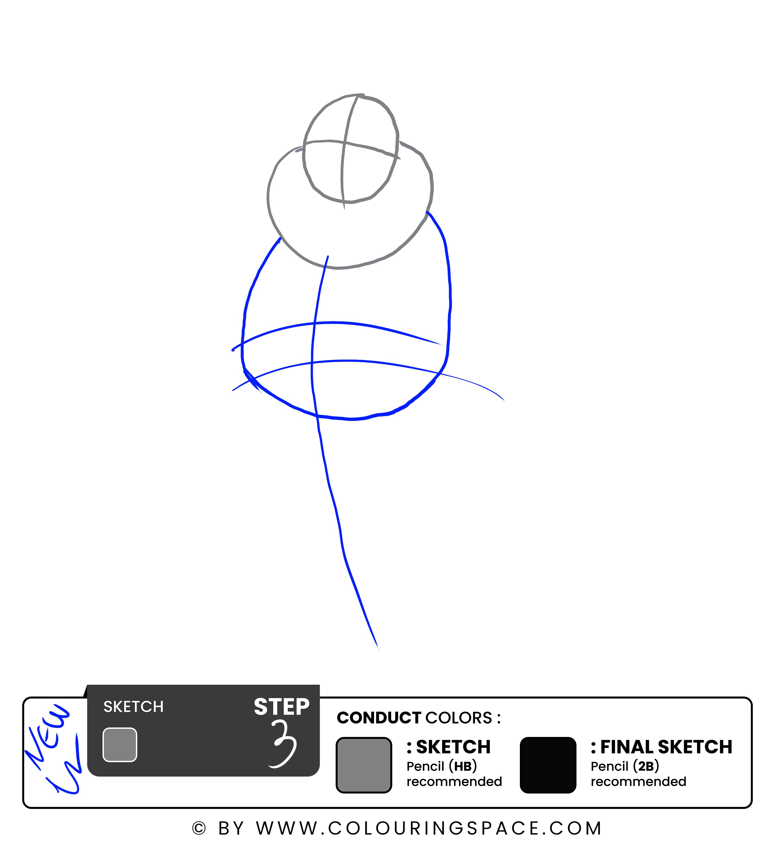 Step 3: Sketch the Torso