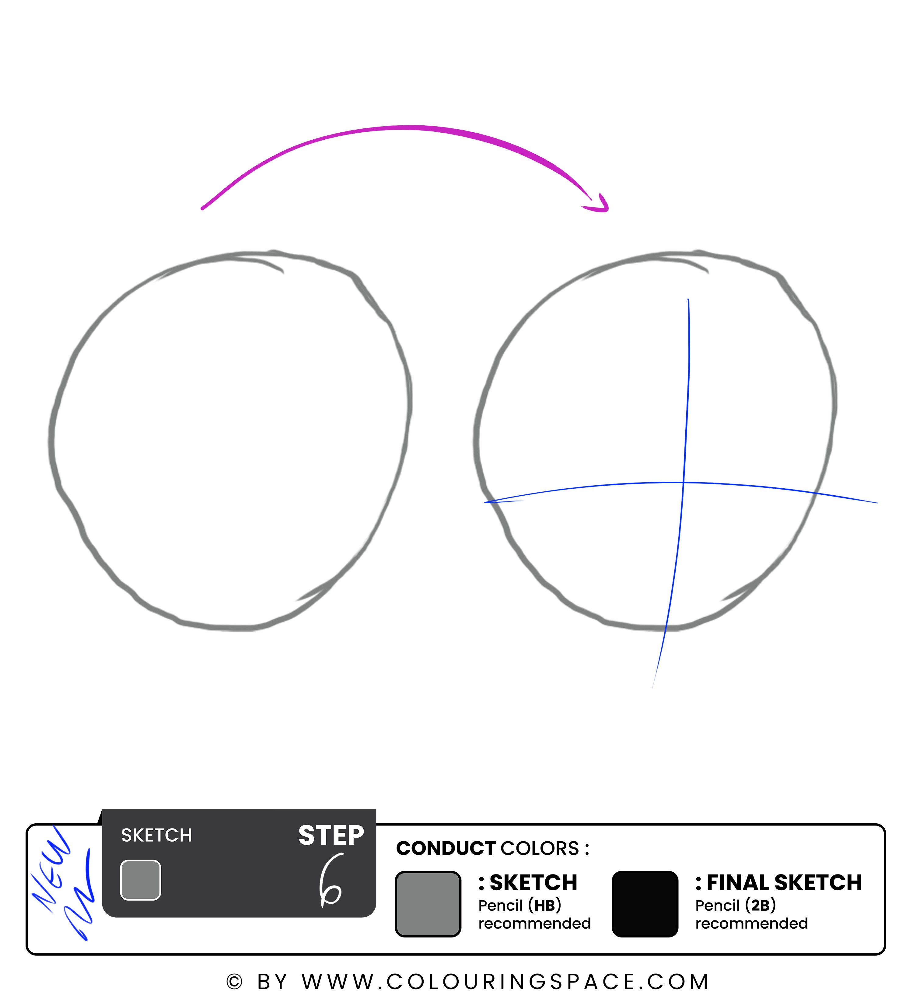 Step 6: Divide the Face into Four Sections 
