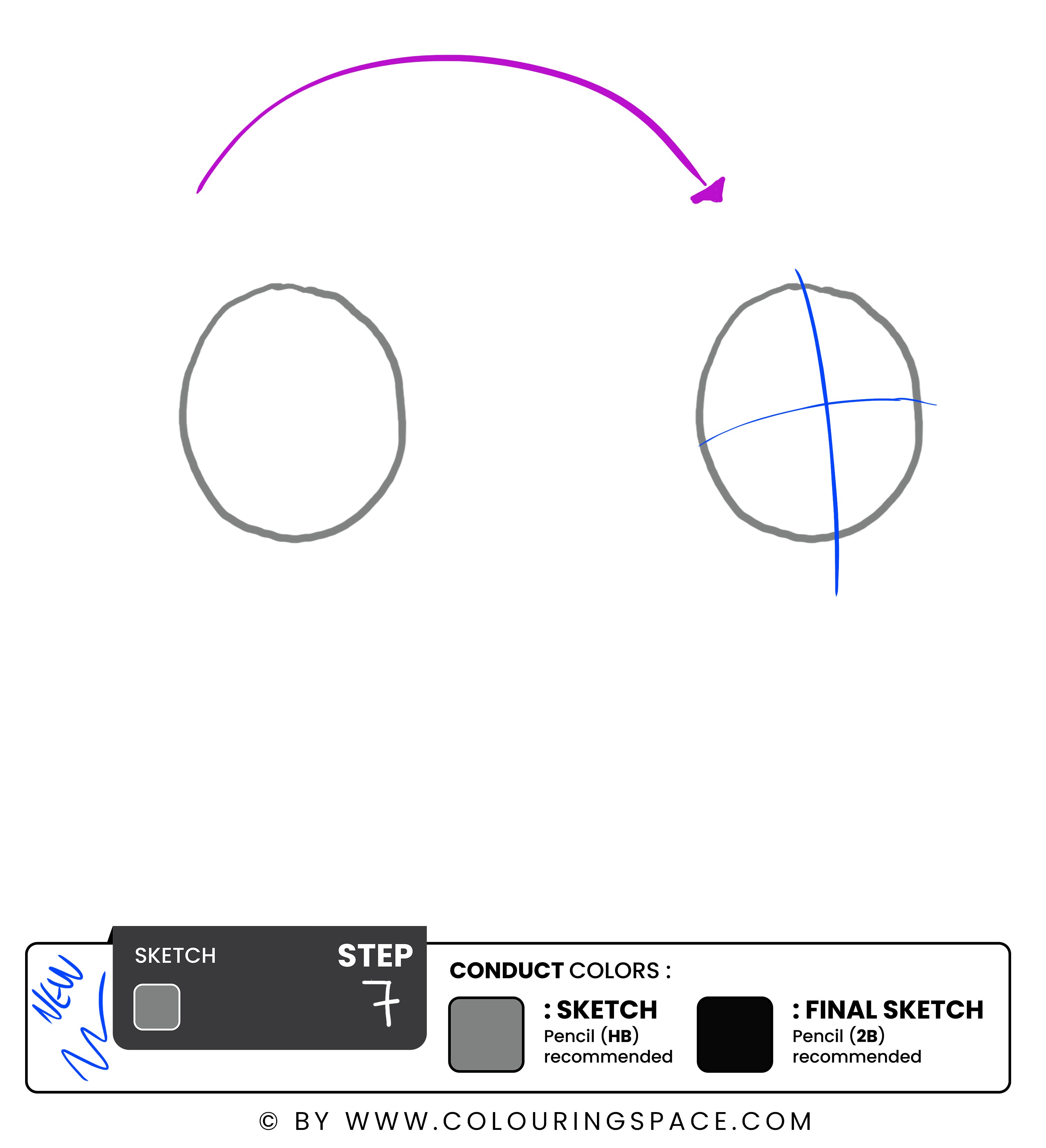 Step 7: Divide the Face into Four Sections