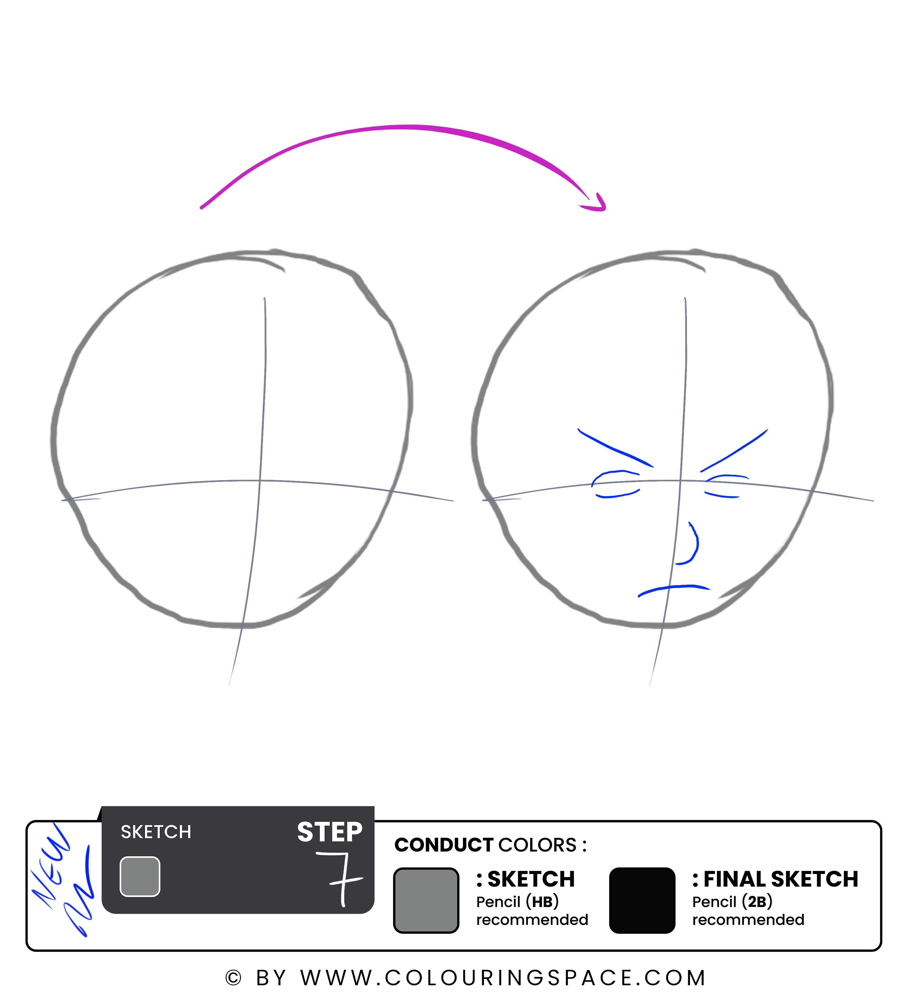 Step 7: Sketch the Facial Features 
