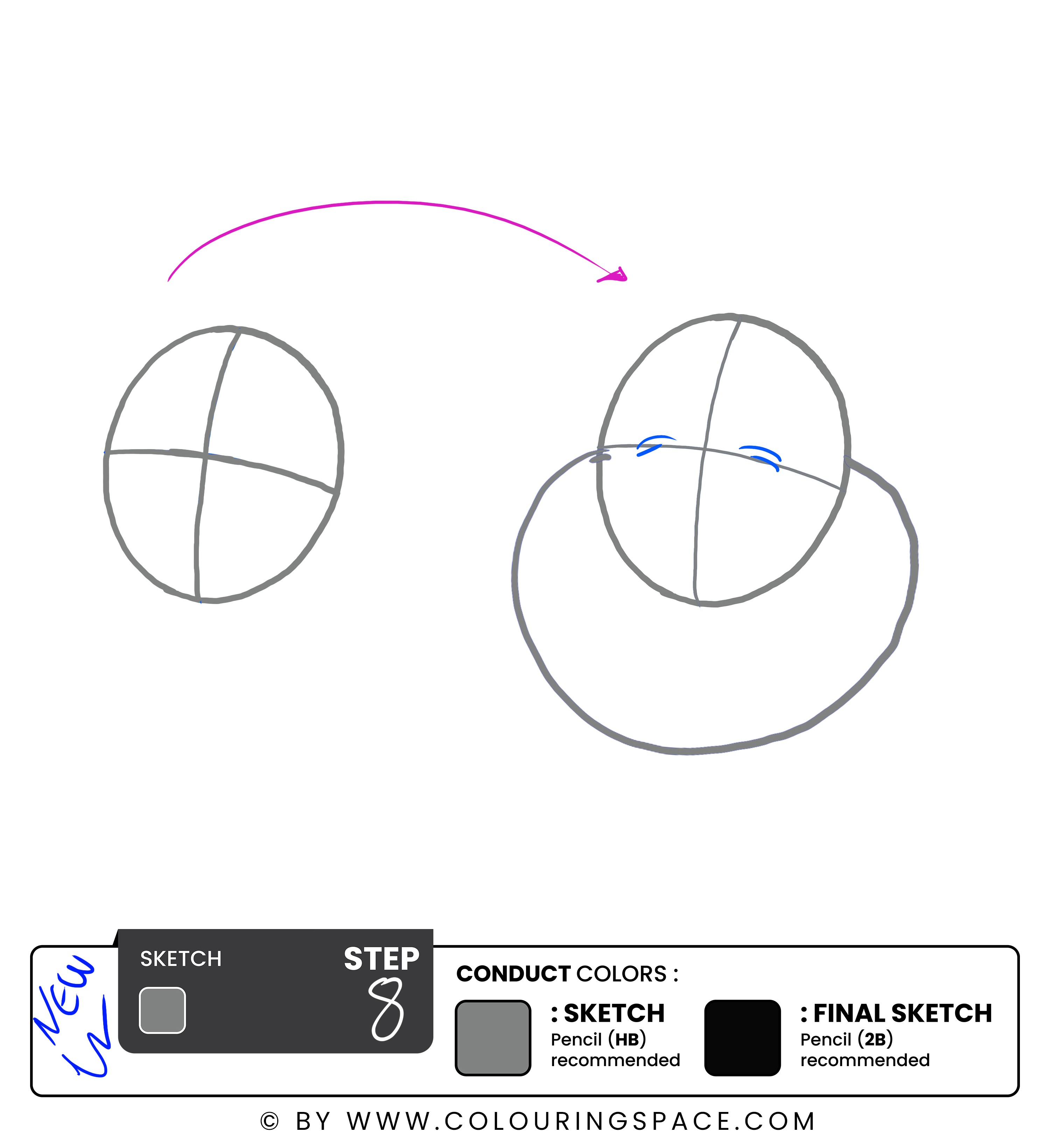 Step 8: Draw the Eyes and Eyebrows