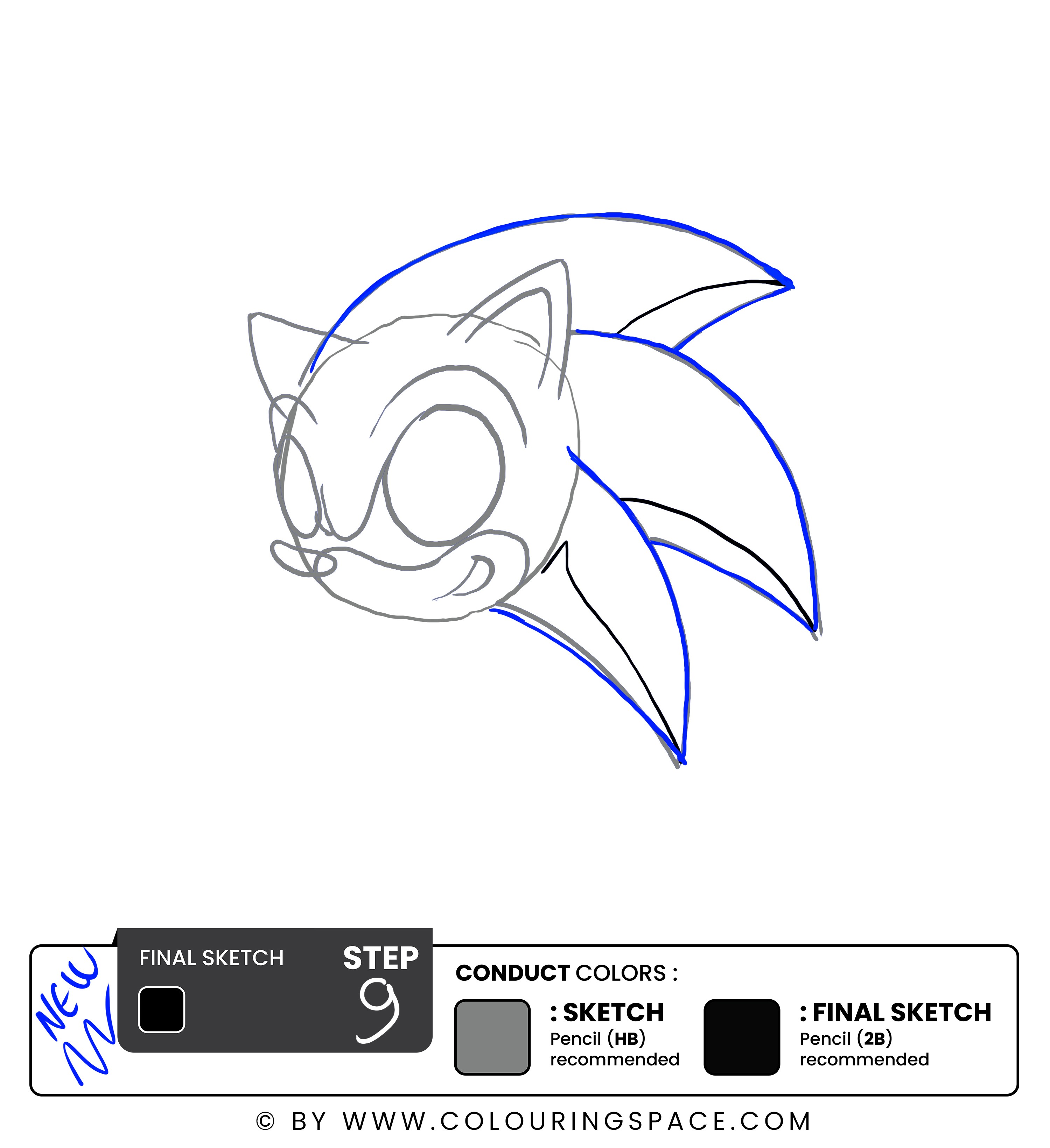 Step 9: Outline the Quills