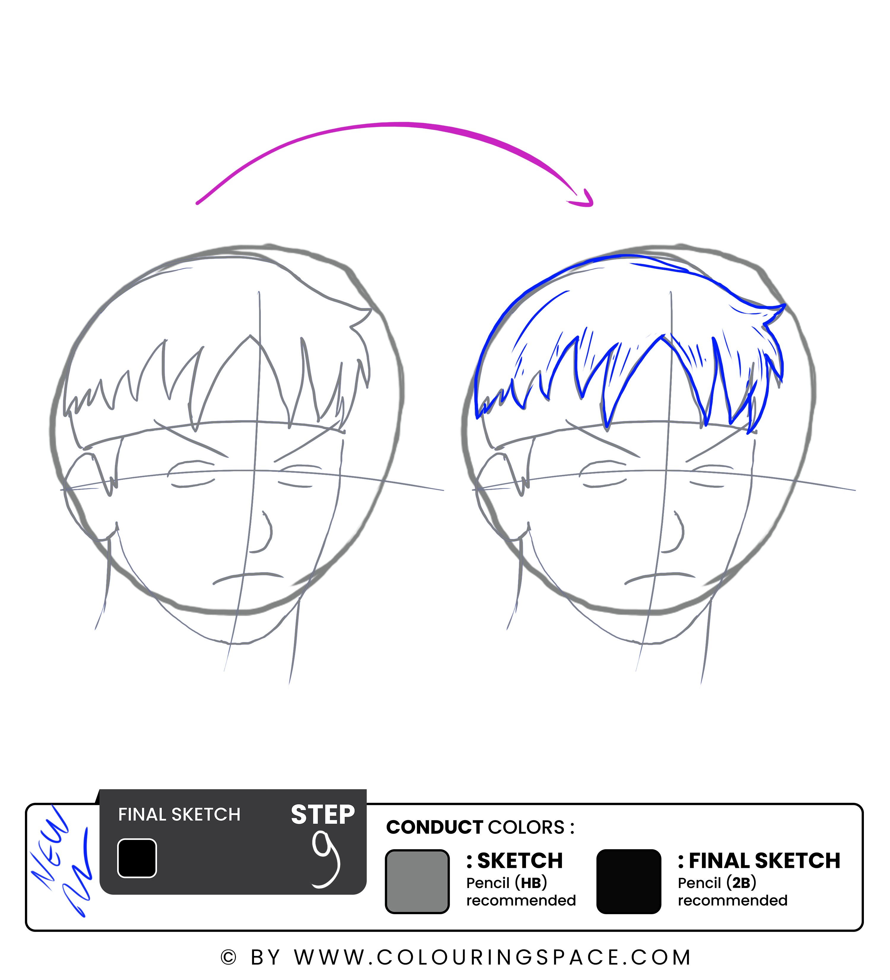 Step 9: Outline the Hair 